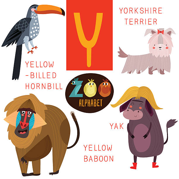 귀여운 동물원 알파벳 in vector.y 수 있습니다. 말풍선이 있는 재미있는 동물 - hornbill computer graphic multi colored nature stock illustrations