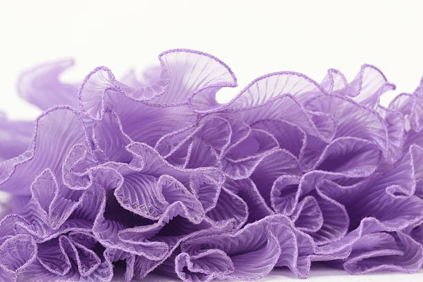Pressing on a purple chiffon white background.Pressing on a purple chiffon white background.