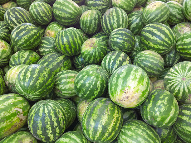 istock Watermelons on the market. 486871012