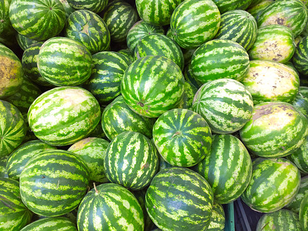 istock Watermelons on the market. 486871084