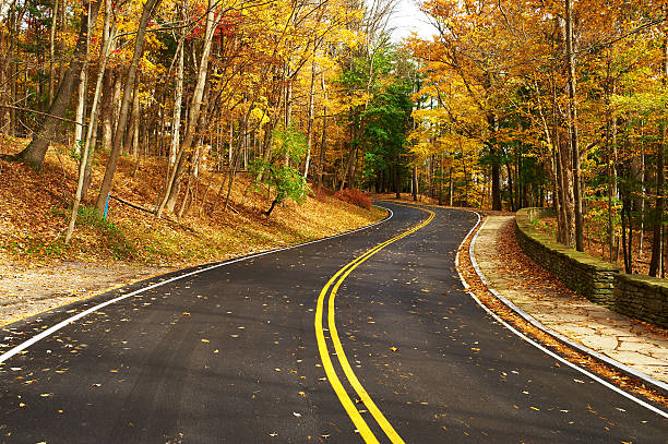istock Autumn scene with road in forest 486871510