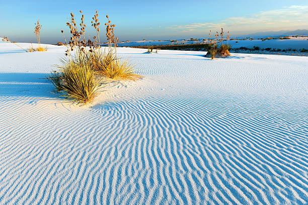 인명별 처박은 ripples 석양이 지는, 미국 뉴멕시코 - sand sand dune white sands national monument desert 뉴스 사진 이미지