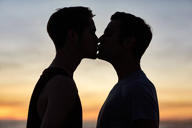 True love's kiss Silhouette of a couple kissing at the beachhttp://195.154.178.81/DATA/i_collage/pu/shoots/805559.jpg man gay stock pictures, royalty-free photos & images