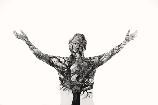 Double exposure man with tree in the portrait.