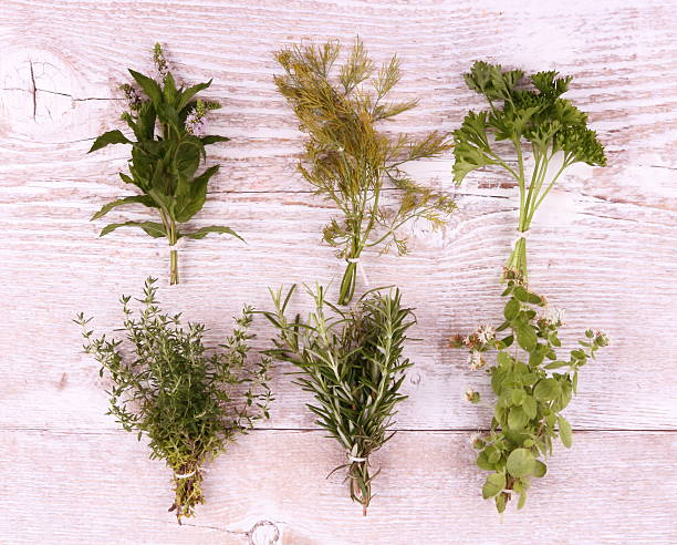 istock Italian herbs in bundle on white wooden background 486877381
