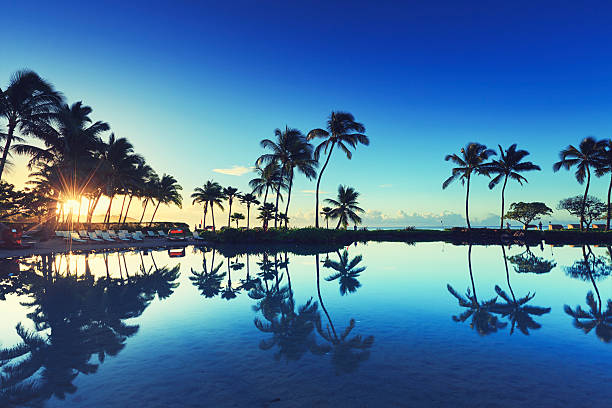istock Sunrise behind palm trees in Kauai, Hawaii 486878818