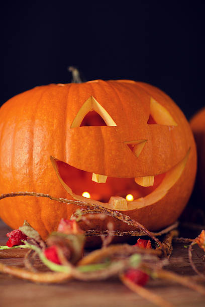istock close up of pumpkins on table 486879306