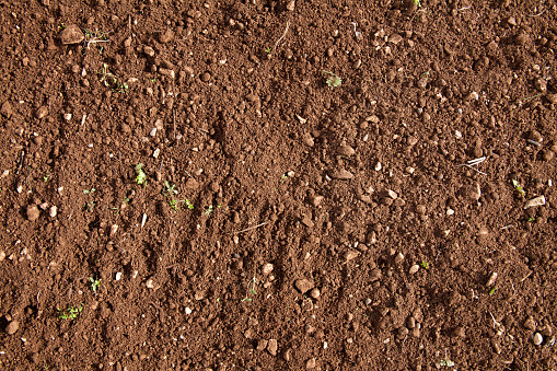 Fertile soil background