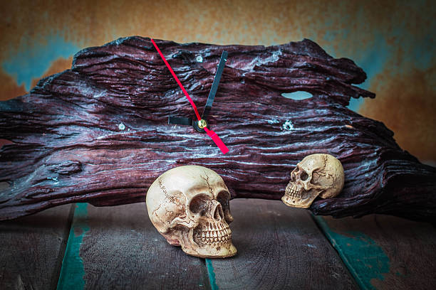 istock The skull on the old wooden 486881676
