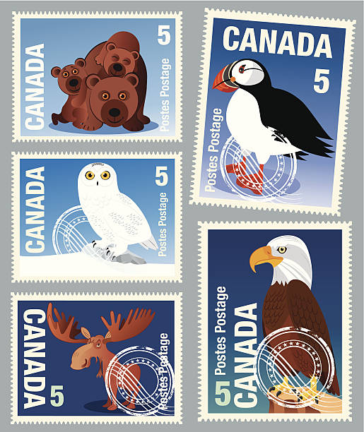 illustrazioni stock, clip art, cartoni animati e icone di tendenza di canada indicatori di animale - canada moose winter snow