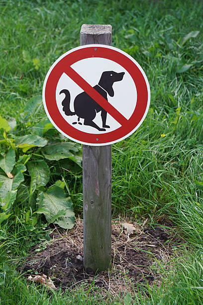 istock prohibition sign no dog pooping 486881914