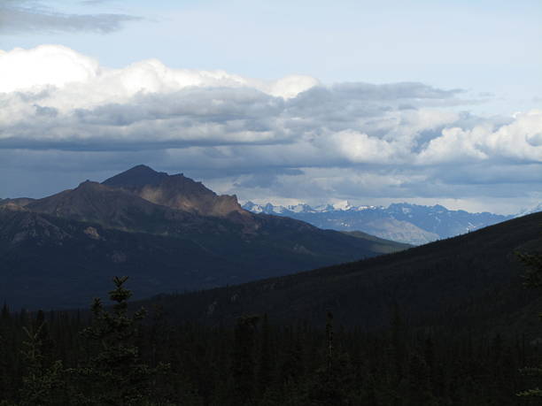 istock Mount McKinley in Denali National park,Alaska 486882359