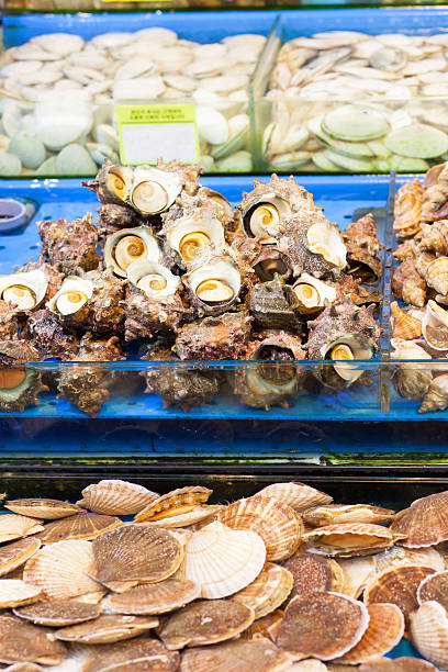 istock Sea snails and scallops at fish market 486882586