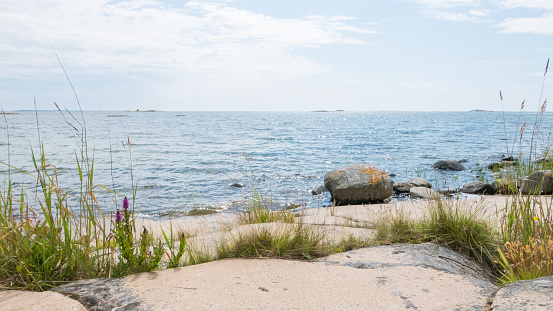 Rocky beach with smoth stones, grass and flowers. Water horizon with a few skerries. Archipelago of Stockholm, Sweden.