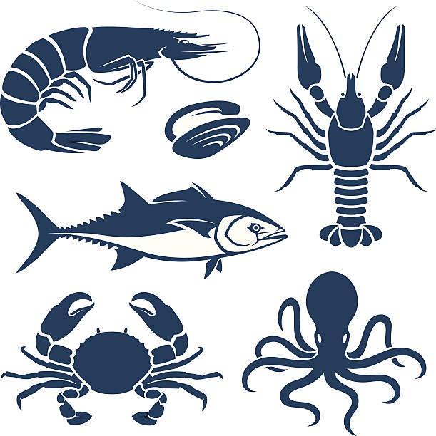 Seafood Set of blue seafood symbols bivalve stock illustrations