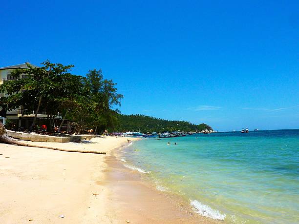 istock Ko Tao Island, Thailand 486883527