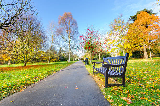 경로 벤치 아름다운 일반공개 공원, 런던, 영국 - bench park bench park wood 뉴스 사진 이미지