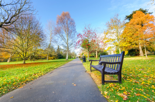 Pathway bench in a Beautiful Public Park, London, UK