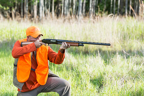 istock Hunter aiming with shotgun kneeling in tall grass 486884304