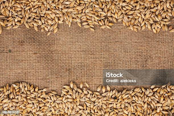 Barley Is On Burlap Stock Photo - Download Image Now - Agriculture, Autumn, Backgrounds