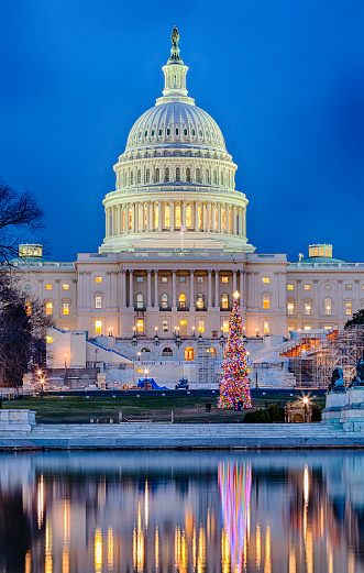 The Capitol Building in Washington DC with a Christmas Tree out front.