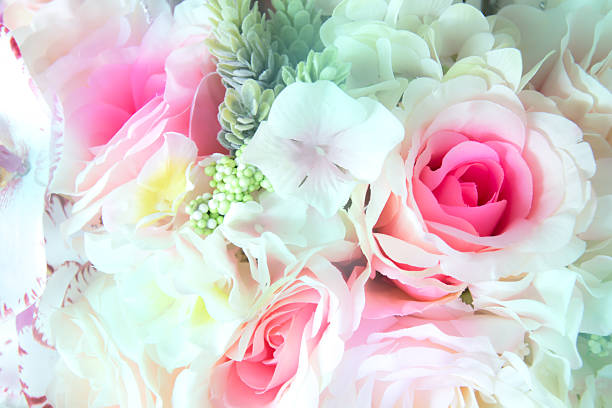 istock pink rose beautiful flowers 486892884