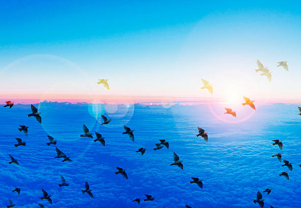 istock Beautiful sunset above the clouds ,ariel view 486893296