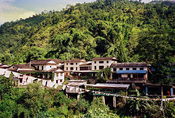 istock Eastern rainforest with houses in the mountain side 486893486
