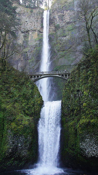 istock 2011-05-01 Multnomah falls in Portland U.S.A 486894131