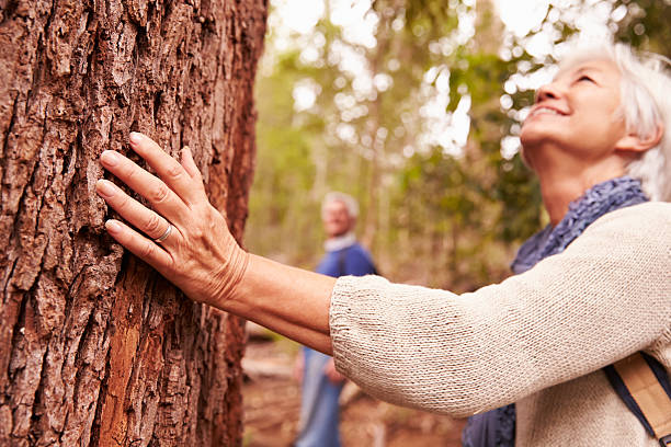 istock Senior woman touching tree in forest, man in the background 486894670