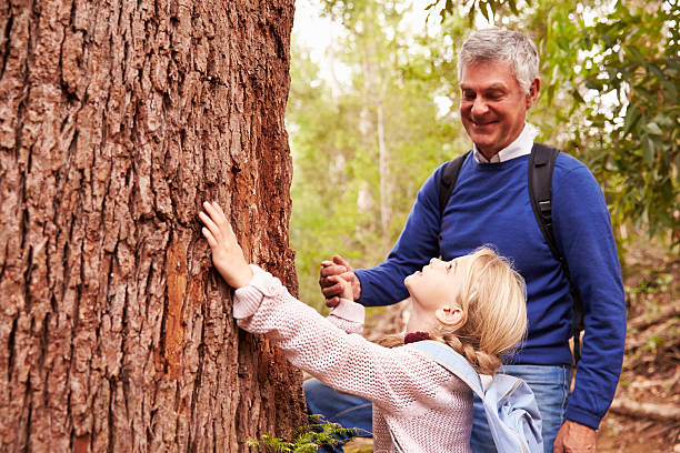 istock Grandfather and granddaughter admiring a tree in a forest 486894776