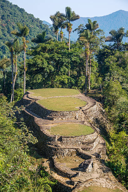 istock Lost City in Colombia 486894915