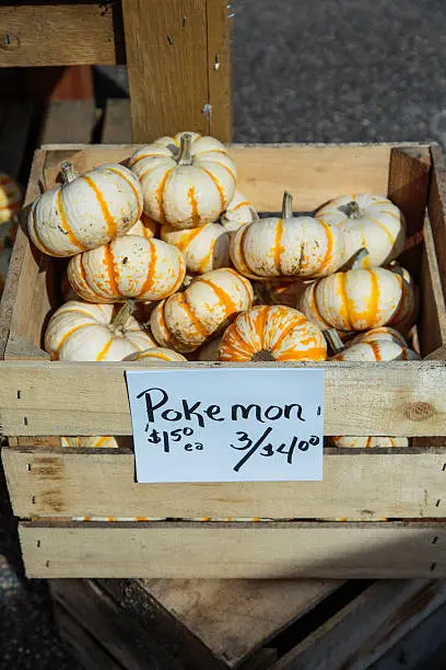 Fall produce for sale at a farm stand in Wayzata, Minnesota
