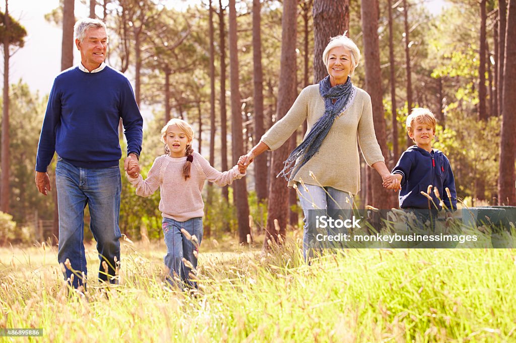 Grandparents and grandchildren walking in the countryside Grandparent Stock Photo