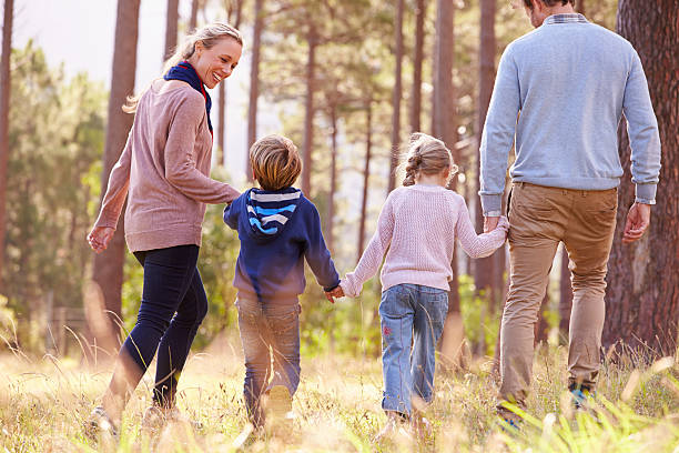 istock Family walking towards a forest, back view 486896266