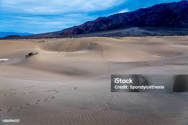 Photo libre de droit de Dunes De Sable Et Mesquite La Vallée De La Mort banque d'images et plus d'images libres de droit de Destination de voyage - Destination de voyage, Dune de sable, Dépression terrestre