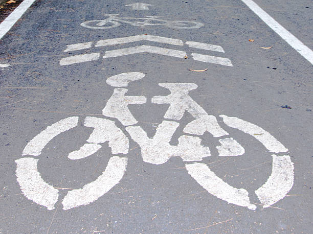 istock Bike lane at park 486896709