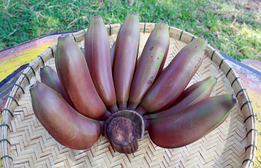 red bananas fruit on bamboo tray