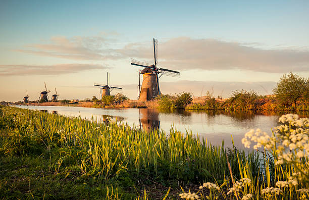 moinhos de vento kinderdijk (países baixos) - scenics landscape windmill sunrise imagens e fotografias de stock