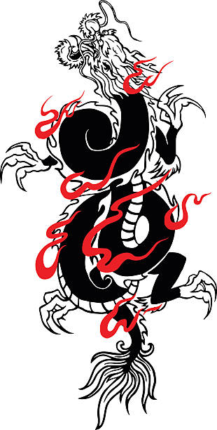 ilustrações, clipart, desenhos animados e ícones de rising-dragão - dragon chinese dragon china chinese ethnicity