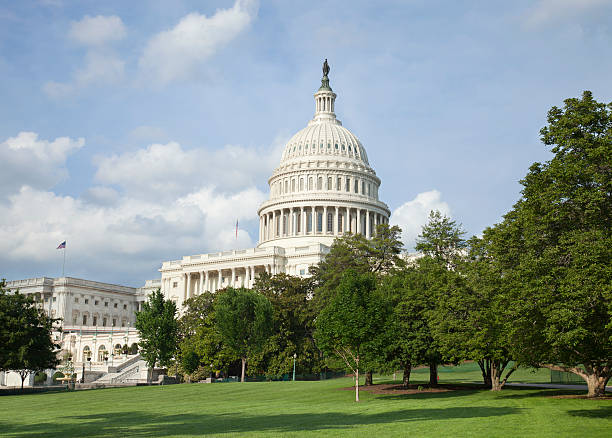 istock US Capitol building in Washington DC on a sunny day 486904064