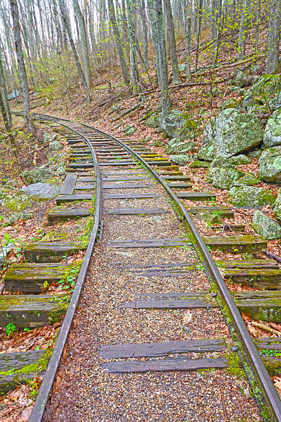 istock Old Railroad in the Forest 486904318