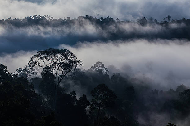 istock Hala-bala narathiwas the morning light landscape view (Rainfores 486905076