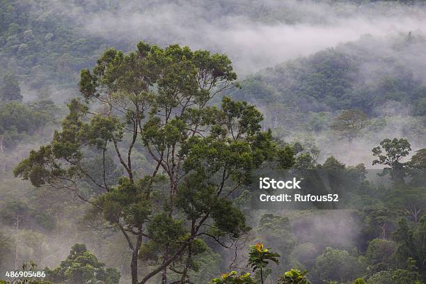 Halabala Landscape View Stock Photo - Download Image Now - 2015, Eternity, Forest