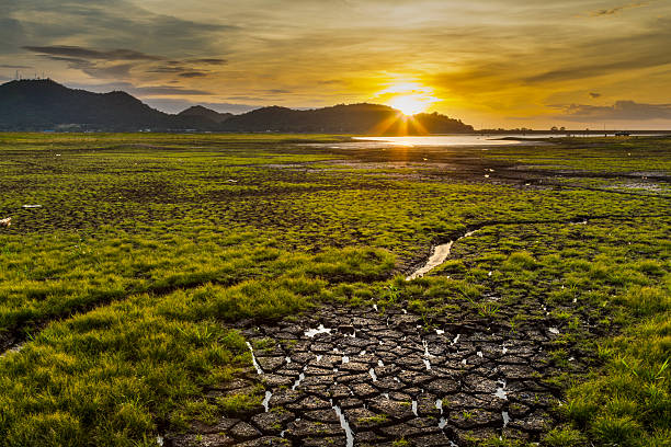 istock Lack of water in reservoir fields 486906088
