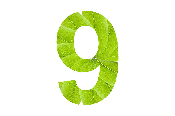 istock Symbol number double exposure with green leaf on white backgroun 486908912