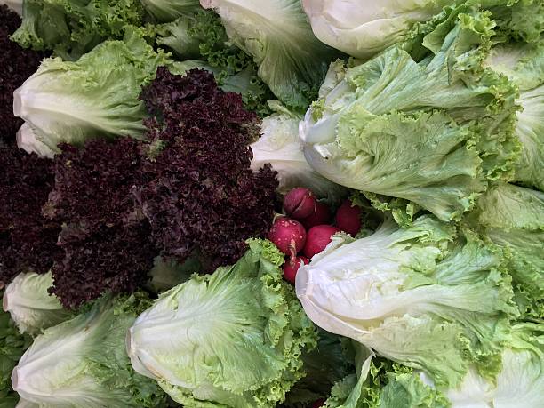 istock salads at a grocery stands 486909946