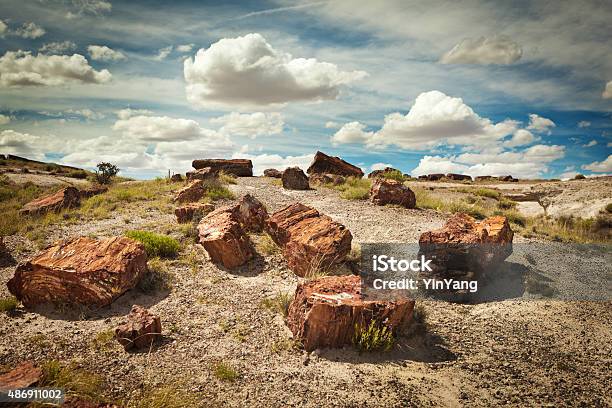 Petrified Forest National Park Of Arizona Southwest Usa Stock Photo - Download Image Now