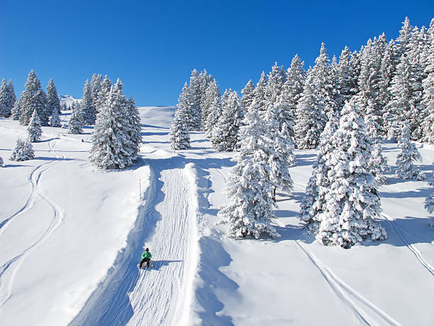 istock Winter in the alps 486911700