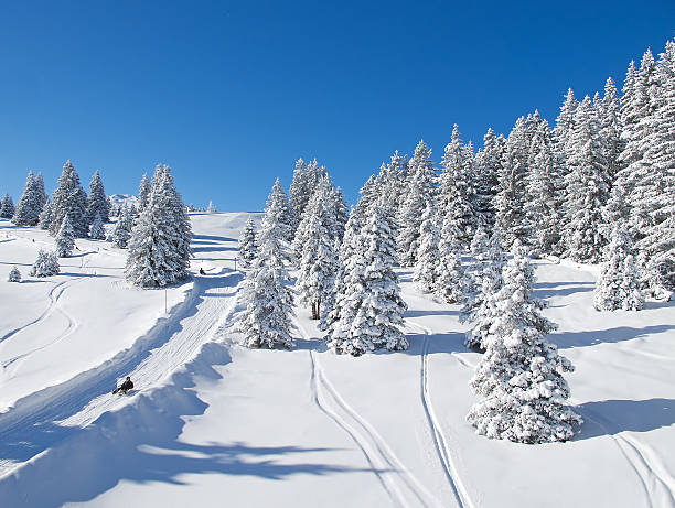 istock Winter in the alps 486911734